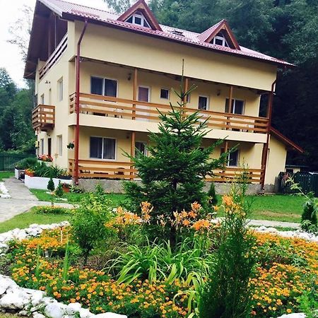 Pensiunea La Padure Cheia, Prahova Măneciu Exterior foto