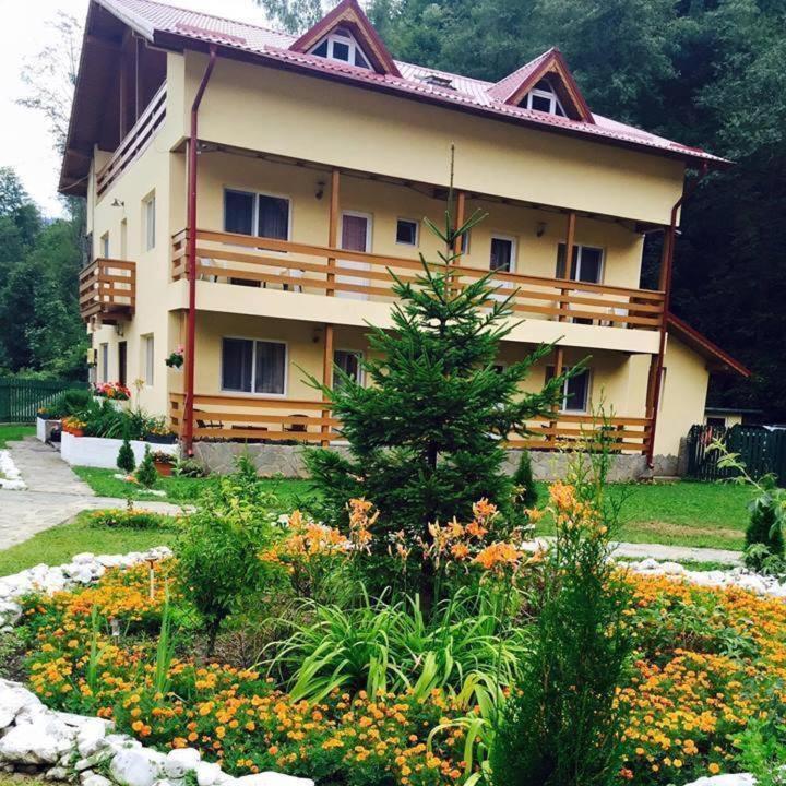 Pensiunea La Padure Cheia, Prahova Măneciu Exterior foto