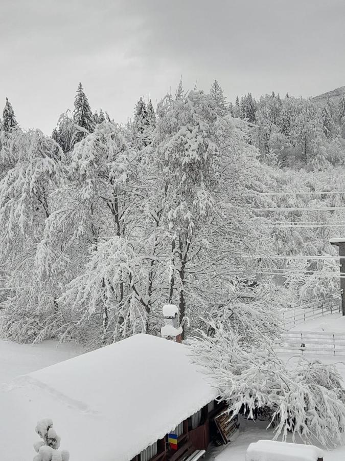 Pensiunea La Padure Cheia, Prahova Măneciu Exterior foto
