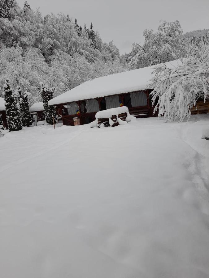 Pensiunea La Padure Cheia, Prahova Măneciu Exterior foto