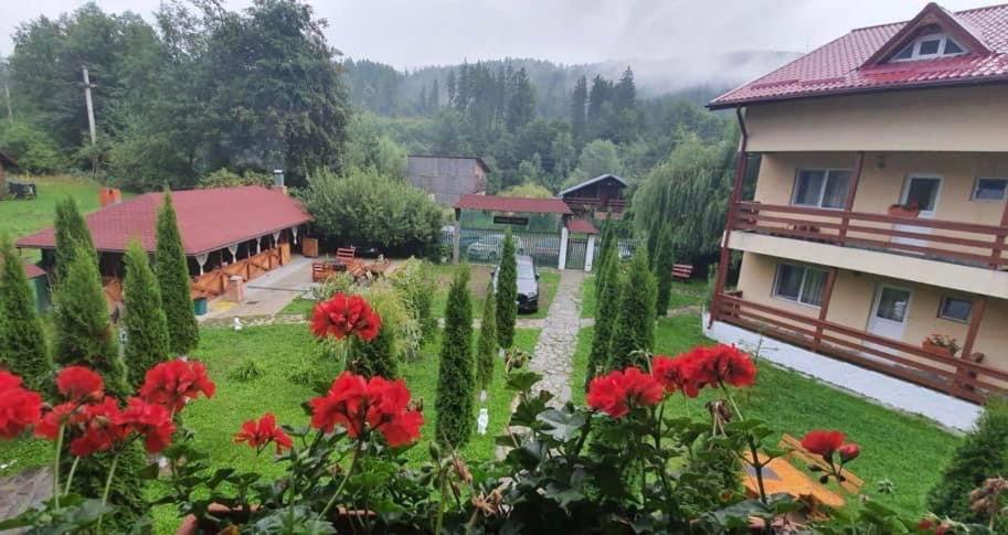 Pensiunea La Padure Cheia, Prahova Măneciu Exterior foto