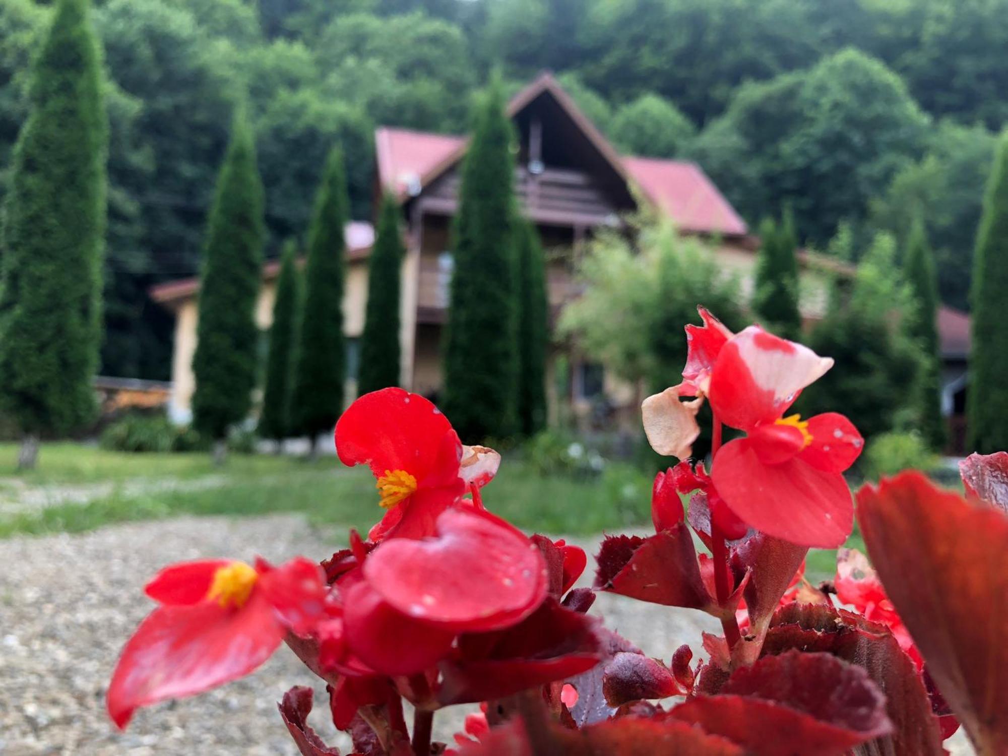 Pensiunea La Padure Cheia, Prahova Măneciu Exterior foto