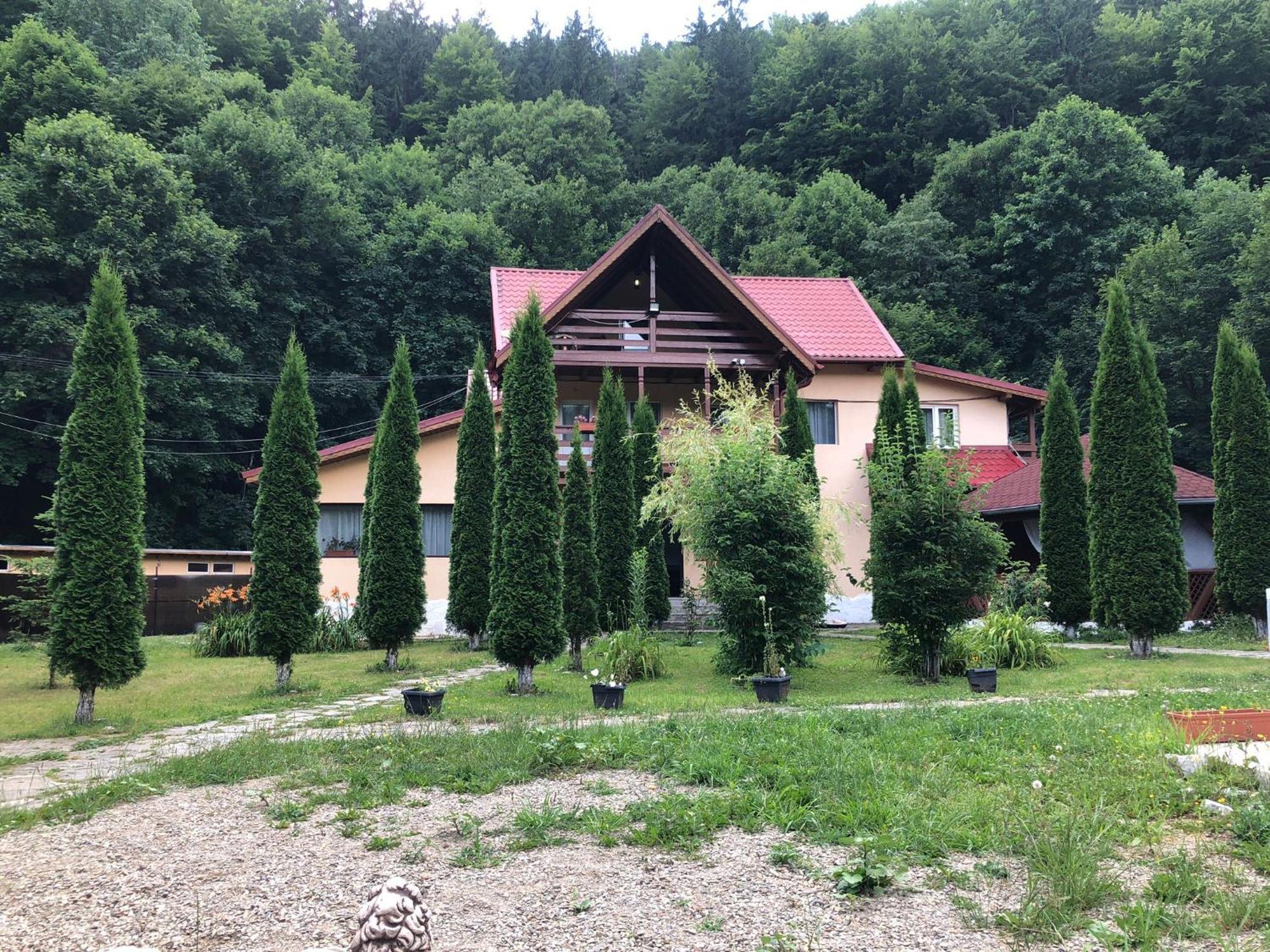 Pensiunea La Padure Cheia, Prahova Măneciu Exterior foto